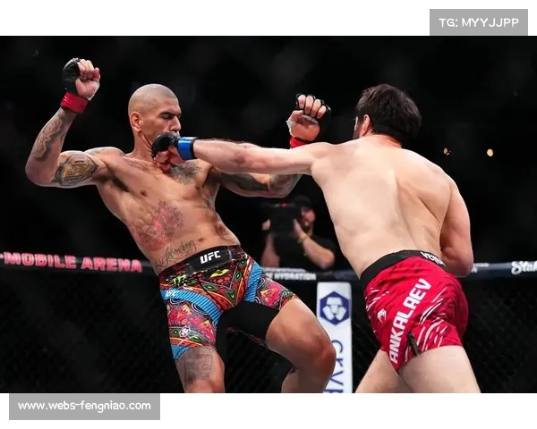 佩雷拉轻重量级二番战复仇安卡拉耶夫，80秒KO重夺冠军腰带